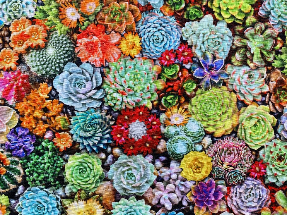 Cacti Fabric | Fabric pattern with a variety of colourful succulents