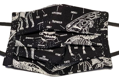 Black fabric mask closeup with dinosaur skeleton pattern with labelled bones