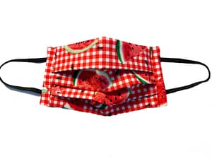 Red and white checked fabric with melon and ants pattern