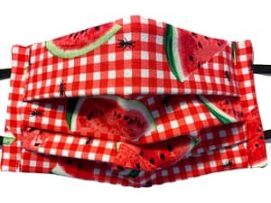 Red and white checked fabric with melon and ants pattern